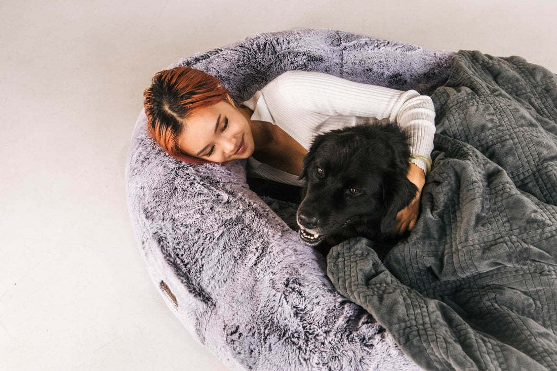 Dog Bed for Humans Portable Pet Bed Giant Dog Bed Human Bed Cat Bed Dog Bed