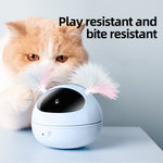 Electric Cat Toy Infrared Laser Light Pen Funny Cat Stick Feather Automatic Cat Toy