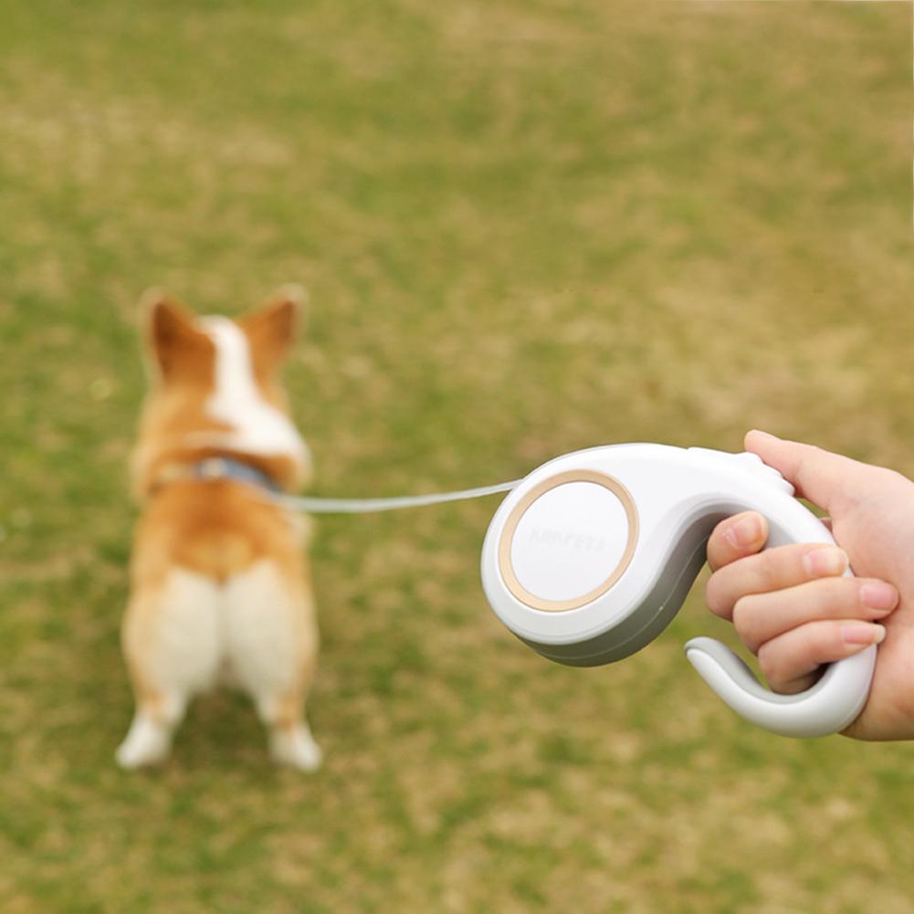 Pet Supplies Dog Leash 3m Automatic Retractable Cat Traction Dog Leash Pet Go Out Dog Leash Dog Chain