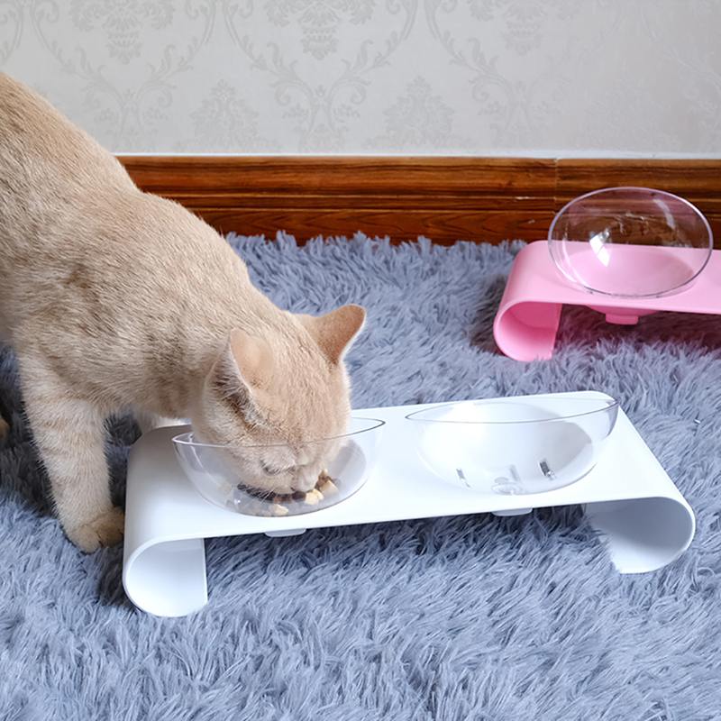 Cat Bowls